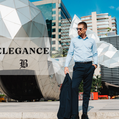 capa blog camisa social elegance baumgarten